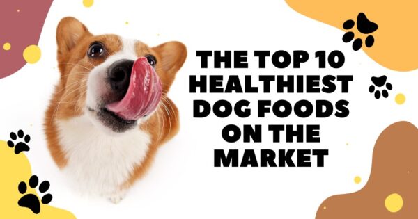 The Top 10 Healthiest Dog Foods on the Market - Pet Chicks