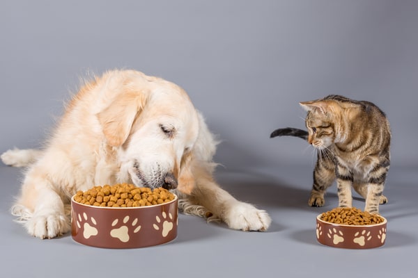 Pet Foods